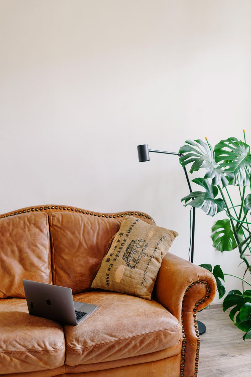 Furniture removal — sofas and dressers hauled away