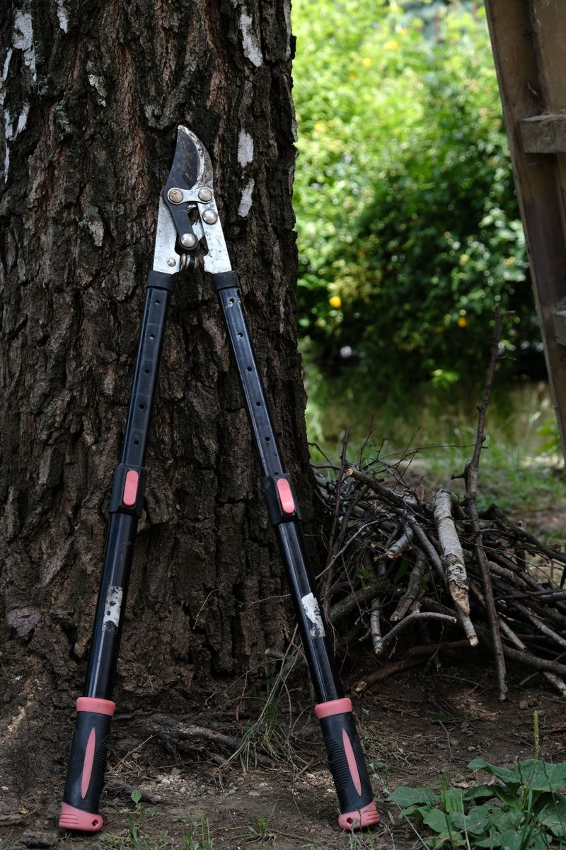 Yard waste and storm debris removal